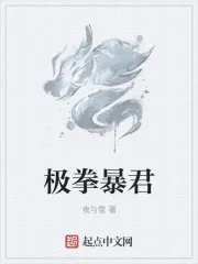 《极拳暴君》小说封面