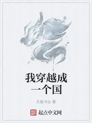 《我穿越成一个国》小说封面