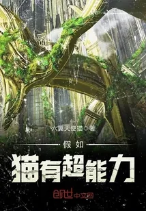 《假如猫有超能力》小说封面