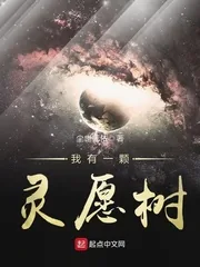 《我有一颗灵愿树》小说封面