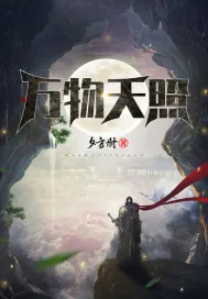 《万物天照》小说封面