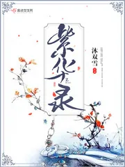 《紫华录》小说封面