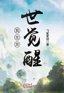 《我在异世觉醒》小说封面