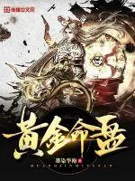 《黄金命盘》小说封面