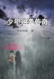 《少年逆袭传奇》小说封面