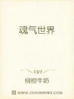 《魂气世界》小说封面