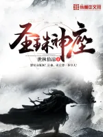 《圣珠神座》小说封面
