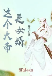 《这个大帝是女婿》小说封面