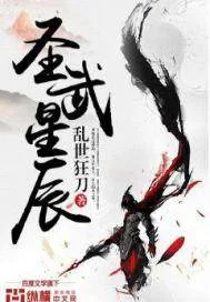 《圣武星辰》小说封面