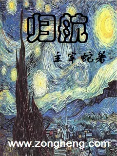 《归航》小说封面