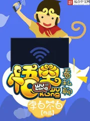 《悟空看私聊》小说封面