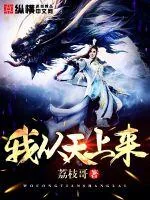 《我从天上来》小说封面