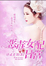《恶毒女配日常》小说封面