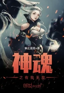 《神魂之有我无敌》小说封面