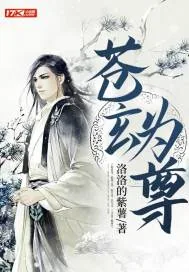 《苍玄为尊》小说封面