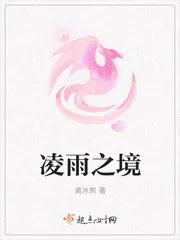 《凌雨之境》小说封面