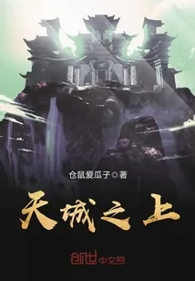 《天城之上》小说封面