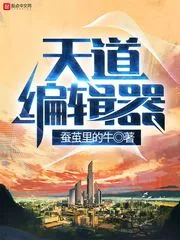 《天道编辑器》小说封面