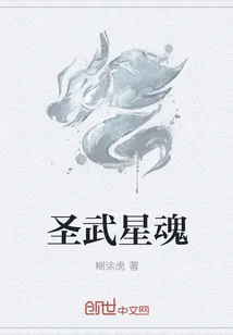《圣武星魂》小说封面
