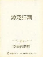 《源宠狂潮》小说封面