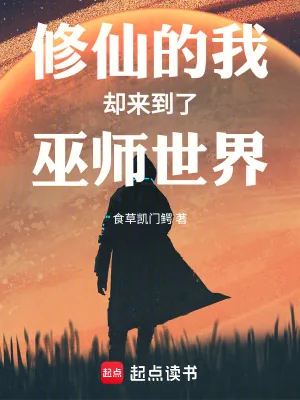 《修仙的我却来到了巫师世界》小说封面