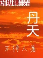 《丹天》小说封面