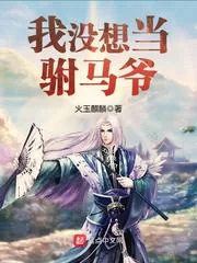 《我没想当驸马爷》小说封面