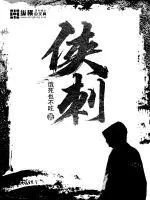 《侠刺》小说封面