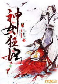 《神女狂妃》小说封面