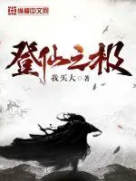《登仙之极》小说封面
