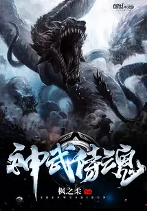 《神武侍魂》小说封面