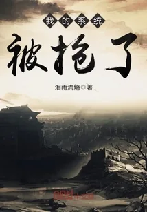 《我的系统被抢了》小说封面