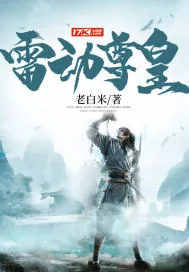《雷动尊皇》小说封面