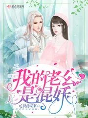 《我的老公是混妖》小说封面