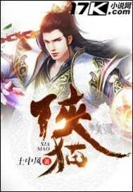 《侠猫》小说封面