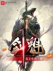 《剑魁》小说封面