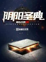 《阴阳圣典》小说封面