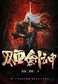 《双面剑神》小说封面