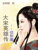 《大宋英雄传》小说封面