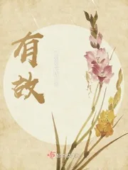 《有故》小说封面