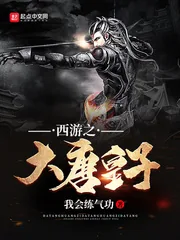 《西游之大唐皇子》小说封面