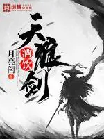 《酒饮天狼剑》小说封面