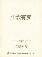 《尘埃有梦》小说封面