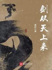《剑从天上来》小说封面