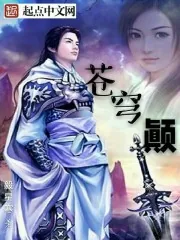 《苍穹颠》小说封面