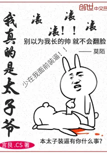 《我真的是太子爷》小说封面