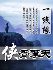 《侠骨擎天》小说封面