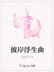 《彼岸浮生曲》小说封面