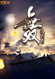 《无双追云录》小说封面