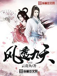 《风透九天》小说封面